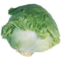 Авірам - насіння салату, 1000 шт (драже), Hazera 77100 фото