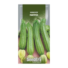 Матрос - насіння кабачка, 10 г, SeedEra 01234 фото