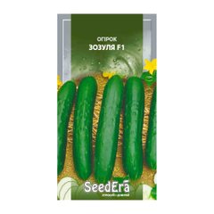 Зозуля F1 - насіння огірка, SeedEra опис, фото, відгуки