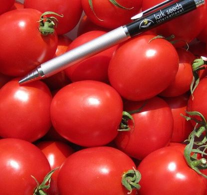 Боцман F1 - насіння томата, 1000 шт, Lark Seeds 891303312 фото