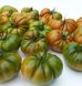 Єллоу Кой F1 - насіння томата, 100 шт, Yuksel seeds 16683 фото 3