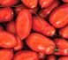 Умекс F1 - насіння томата, 2500 шт, Syngenta 78501 фото 2