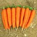 Романс F1 - насіння моркви, 100 000 шт (1.8 - 2.0), Nunhems 01509 фото 2