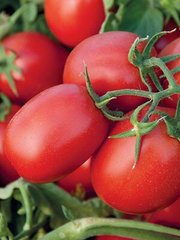Суомі F1 - насіння томата, 2500 шт, Syngenta 90147 фото