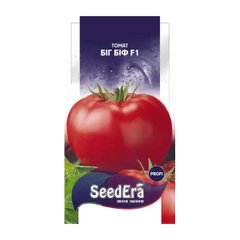 Біг Біф F1, 10 шт, насіння томату, Seminis (SeedEra) 26747 фото