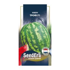 Трофи F1 - семена арбуза, Nunhems (SeedEra) описание, фото, отзывы