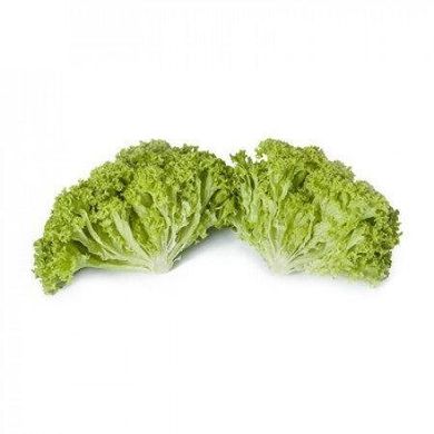 Лугано - насіння салату, 5000 шт (драже), Rijk Zwaan 50598 фото