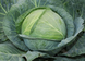 Атрія F1 - насіння капусти білоголової, 2500 шт, Seminis 65306 фото 1